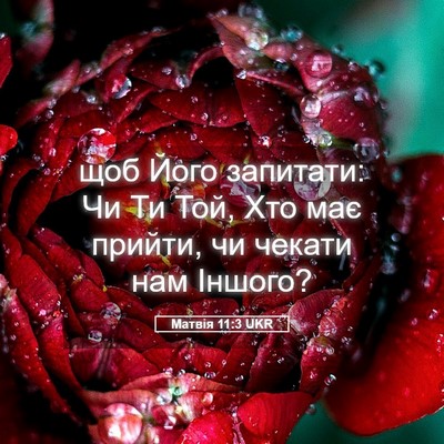 Picture 05 - Матвія 11:3 UKR - щоб Його запитати: Чи Ти - Bible Verse Picture