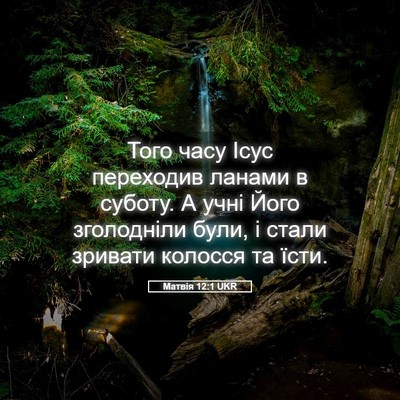 Picture 05 - Матвія 12:1 UKR - Того часу Ісус переходив - Bible Verse Picture