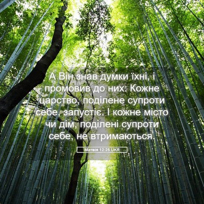 Picture 05 - Матвія 12:25 UKR - А Він знав думки їхні, і - Bible Verse Picture