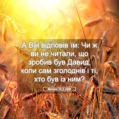 Picture 05 - Матвія 12:3 UKR - А Він відповів їм: Чи ж ви - Bible Verse Picture