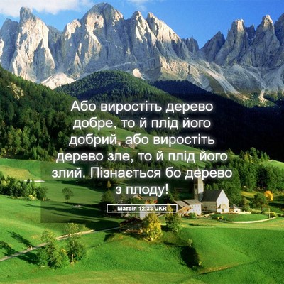 Picture 05 - Матвія 12:33 UKR - Або виростіть дерево - Bible Verse Picture