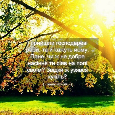 Picture 05 - Матвія 13:27 UKR - І прийшли господареві - Bible Verse Picture