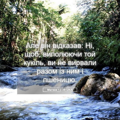 Picture 05 - Матвія 13:29 UKR - Але він відказав: Ні, щоб, - Bible Verse Picture