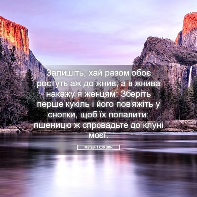 Picture 05 - Матвія 13:30 UKR - Залишіть, хай разом обоє - Bible Verse Picture
