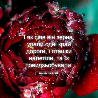 Picture 05 - Матвія 13:4 UKR - І як сіяв він зерна, упали - Bible Verse Picture