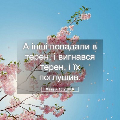 Picture 05 - Матвія 13:7 UKR - А інші попадали в терен, і - Bible Verse Picture