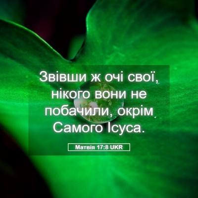Picture 05 - Матвія 17:8 UKR - Звівши ж очі свої, нікого - Bible Verse Picture