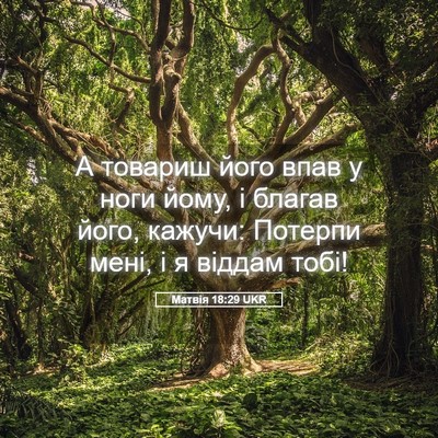 Picture 05 - Матвія 18:29 UKR - А товариш його впав у ноги - Bible Verse Picture