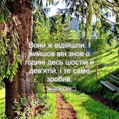 Picture 05 - Матвія 20:5 UKR - Вони ж відійшли. І вийшов - Bible Verse Picture