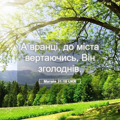 Picture 05 - Матвія 21:18 UKR - А вранці, до міста - Bible Verse Picture