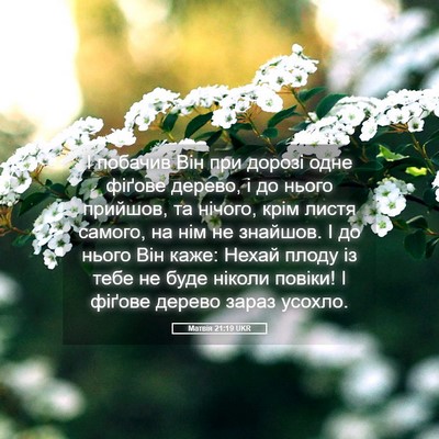 Picture 05 - Матвія 21:19 UKR - І побачив Він при дорозі - Bible Verse Picture