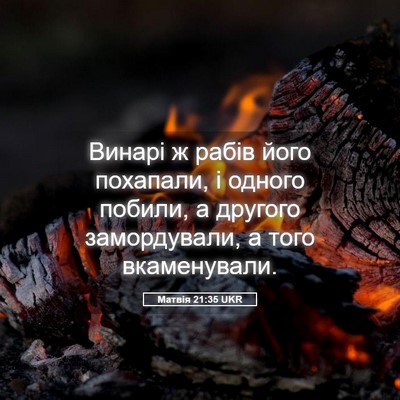 Picture 05 - Матвія 21:35 UKR - Винарі ж рабів його - Bible Verse Picture