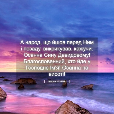 Picture 05 - Матвія 21:9 UKR - А народ, що йшов перед Ним і - Bible Verse Picture