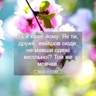 Picture 05 - Матвія 22:12 UKR - та й каже йому: Як ти, друже, - Bible Verse Picture