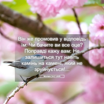 Picture 05 - Матвія 24:2 UKR - Він же промовив у - Bible Verse Picture