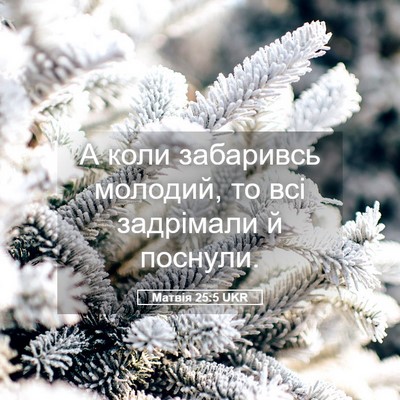 Picture 05 - Матвія 25:5 UKR - А коли забаривсь молодий, - Bible Verse Picture