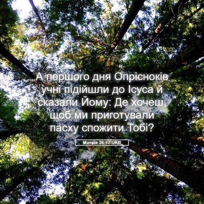 Picture 05 - Матвія 26:17 UKR - А першого дня Опрісноків - Bible Verse Picture