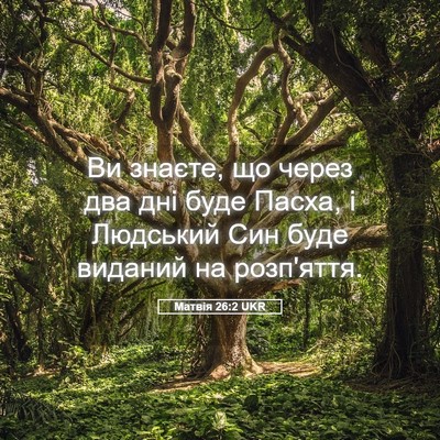 Picture 05 - Матвія 26:2 UKR - Ви знаєте, що через два дні - Bible Verse Picture
