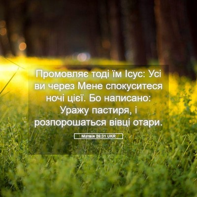 Picture 05 - Матвія 26:31 UKR - Промовляє тоді їм Ісус: Усі - Bible Verse Picture