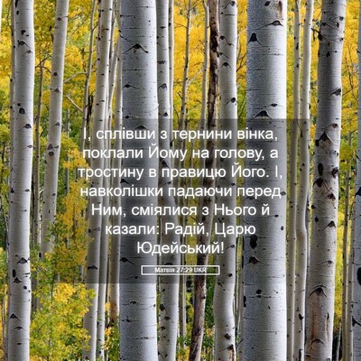 Picture 05 - Матвія 27:29 UKR - І, сплівши з тернини вінка, - Bible Verse Picture