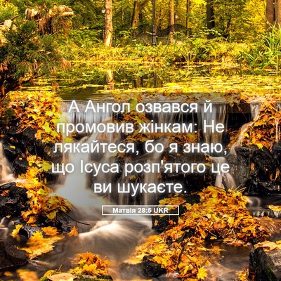 Picture 05 - Матвія 28:5 UKR - А Ангол озвався й промовив - Bible Verse Picture