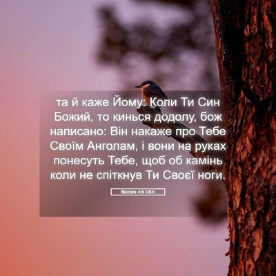 Picture 05 - Матвія 4:6 UKR - та й каже Йому: Коли Ти Син - Bible Verse Picture