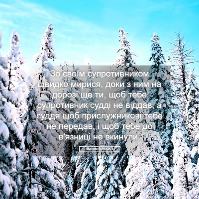 Picture 05 - Матвія 5:25 UKR - Зо своїм супротивником - Bible Verse Picture