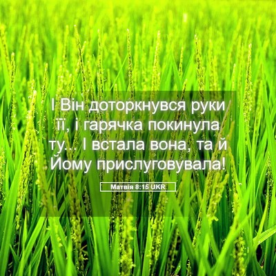 Picture 05 - Матвія 8:15 UKR - І Він доторкнувся руки її, - Bible Verse Picture