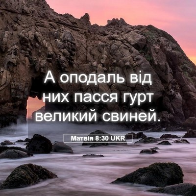Picture 05 - Матвія 8:30 UKR - А оподаль від них пасся - Bible Verse Picture