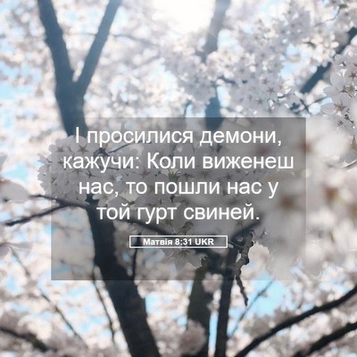 Picture 05 - Матвія 8:31 UKR - І просилися демони, кажучи: - Bible Verse Picture