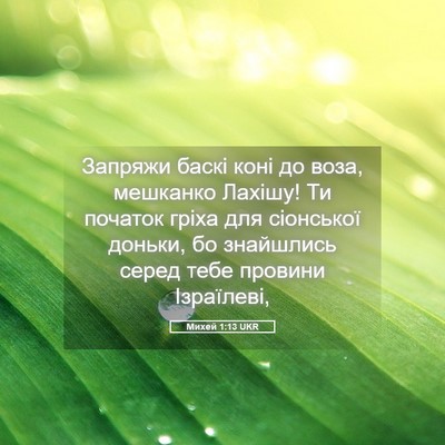 Picture 05 - Михей 1:13 UKR - Запряжи баскі коні до воза, - Bible Verse Picture