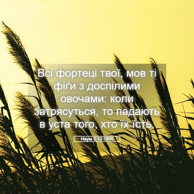 Picture 05 - Наум 3:12 UKR - Всі фортеці твої, мов ті - Bible Verse Picture