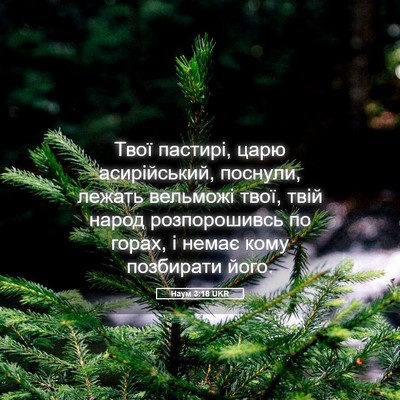 Picture 05 - Наум 3:18 UKR - Твої пастирі, царю - Bible Verse Picture
