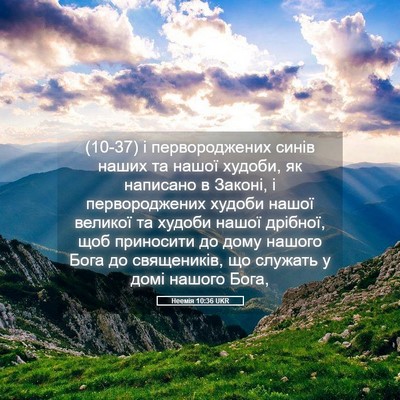 Picture 05 - Неемія 10:36 UKR - (10-37) і первороджених синів - Bible Verse Picture