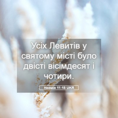 Picture 05 - Неемія 11:18 UKR - Усіх Левитів у святому - Bible Verse Picture