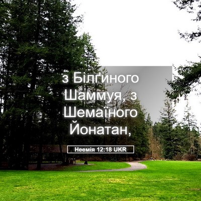 Picture 05 - Неемія 12:18 UKR - з Білґиного Шаммуя, з - Bible Verse Picture