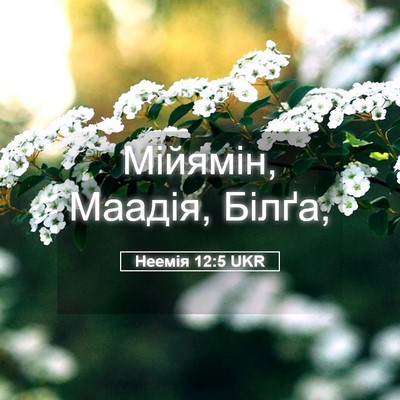 Picture 05 - Неемія 12:5 UKR - Мійямін, Маадія, - Bible Verse Picture