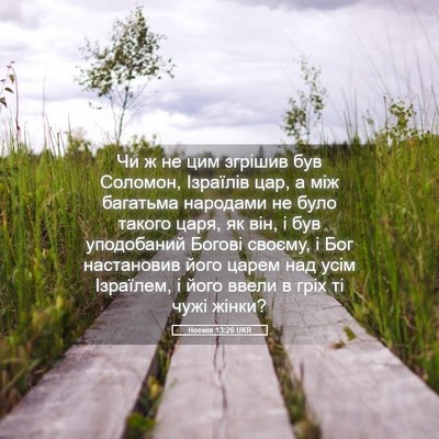 Picture 05 - Неемія 13:26 UKR - Чи ж не цим згрішив був - Bible Verse Picture