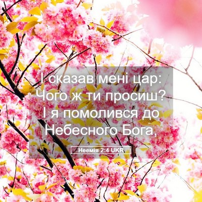 Picture 05 - Неемія 2:4 UKR - І сказав мені цар: Чого ж ти - Bible Verse Picture