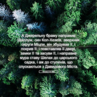 Picture 05 - Неемія 3:15 UKR - А Джерельну браму направив - Bible Verse Picture