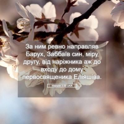 Picture 05 - Неемія 3:20 UKR - За ним ревно направляв - Bible Verse Picture
