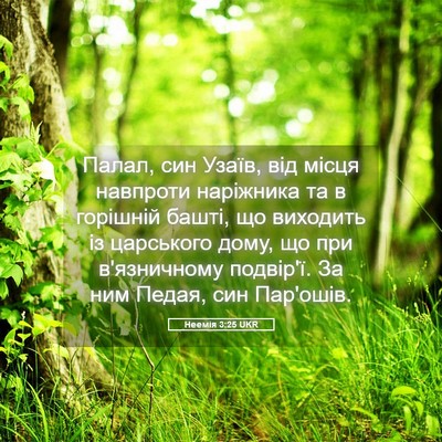 Picture 05 - Неемія 3:25 UKR - Палал, син Узаїв, від місця - Bible Verse Picture