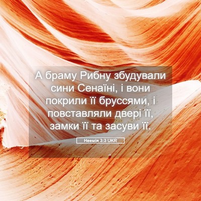 Picture 05 - Неемія 3:3 UKR - А браму Рибну збудували - Bible Verse Picture