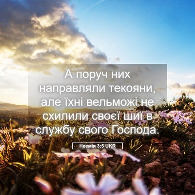 Picture 05 - Неемія 3:5 UKR - А поруч них направляли - Bible Verse Picture