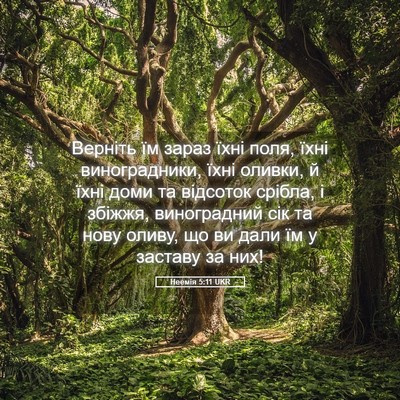 Picture 05 - Неемія 5:11 UKR - Верніть їм зараз їхні поля, - Bible Verse Picture