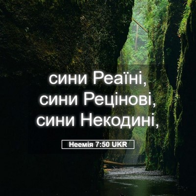 Picture 05 - Неемія 7:50 UKR - сини Реаїні, сини Рецінові, - Bible Verse Picture