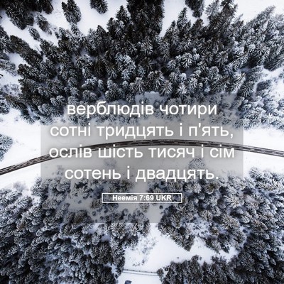 Picture 05 - Неемія 7:69 UKR - верблюдів чотири сотні - Bible Verse Picture
