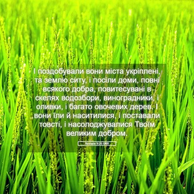 Picture 05 - Неемія 9:25 UKR - І поздобували вони міста - Bible Verse Picture