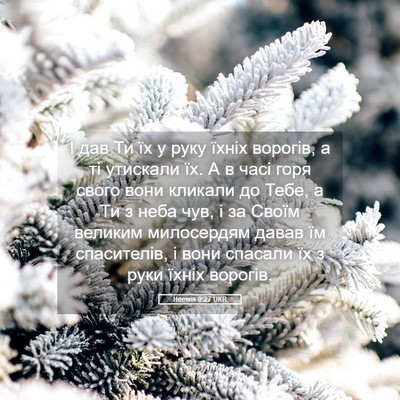 Picture 05 - Неемія 9:27 UKR - І дав Ти їх у руку їхніх - Bible Verse Picture