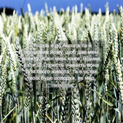 Picture 05 - Об'явлення 10:9 UKR - І пішов я до Ангола та й - Bible Verse Picture